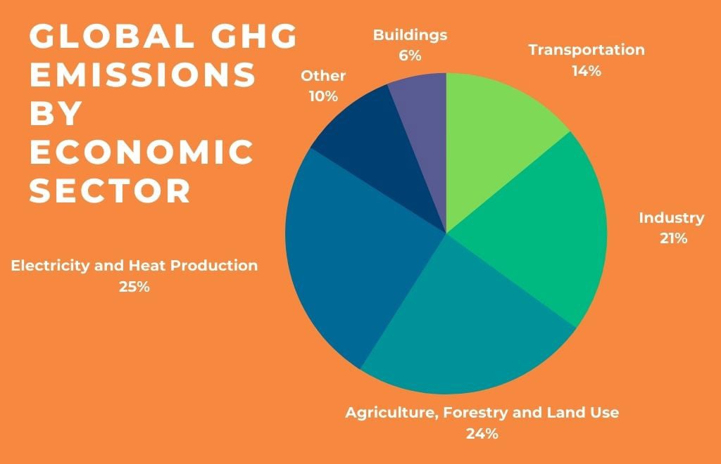 Food's Carbon Footprint: 9 Ways To Reduce Greenhouse Emissions